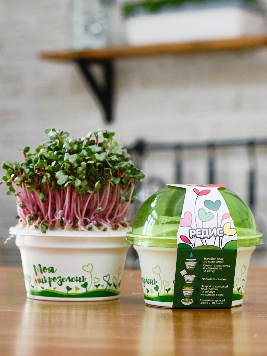Набор для выращивания Здоровья клад Редис