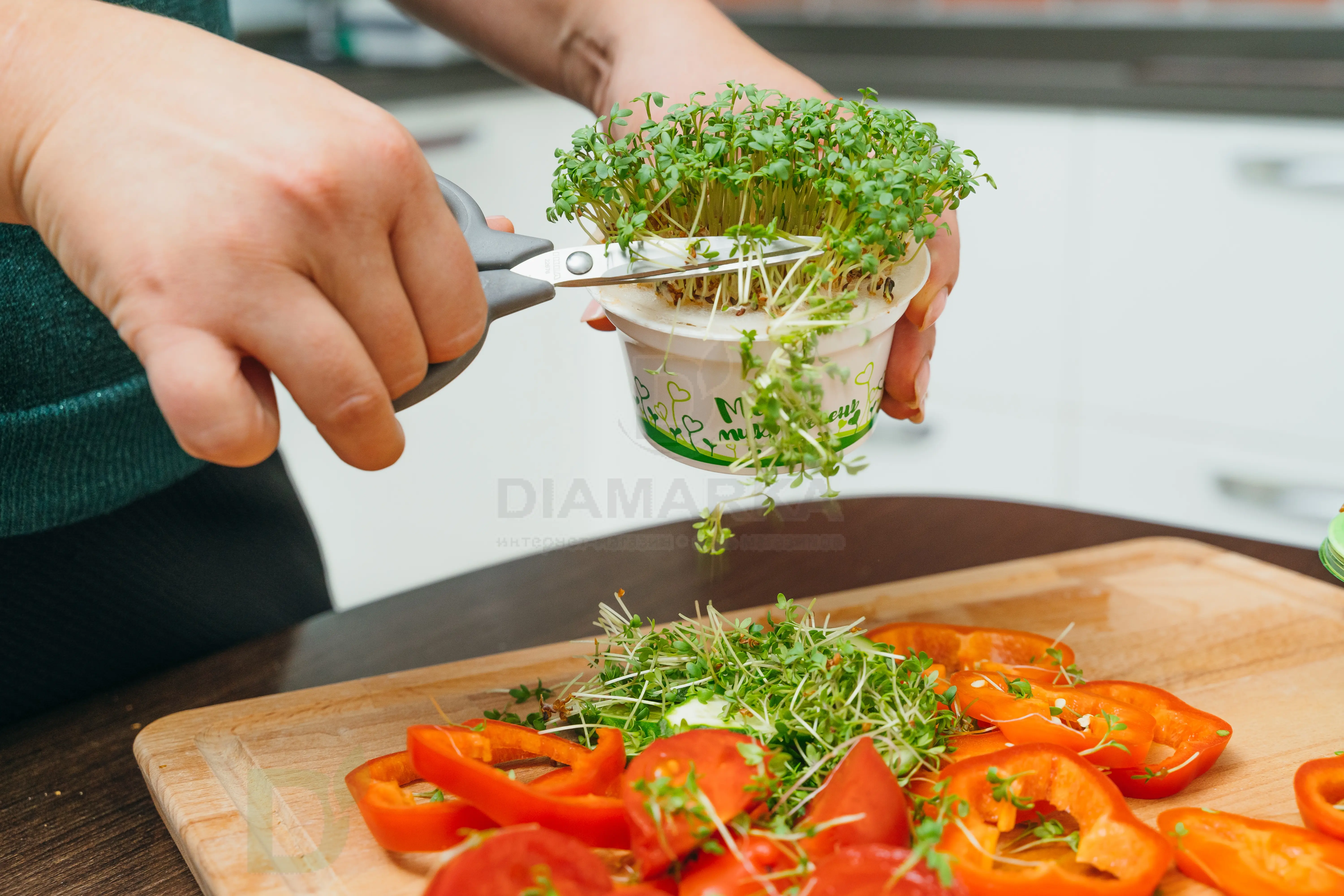 Набор для выращивания Здоровья клад Рукола