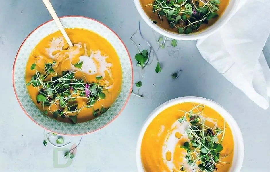 Проращиватель Здоровья клад 1х помповый